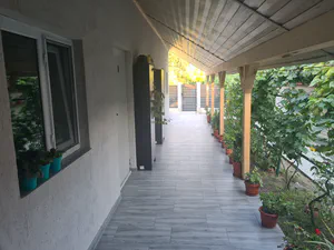 new/20220811_185823.jpg