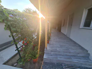 new/20220811_190227.jpg