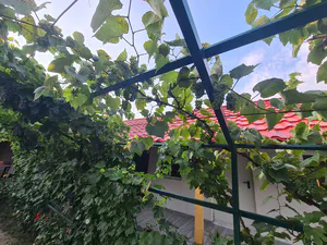 new/20220811_190239.jpg